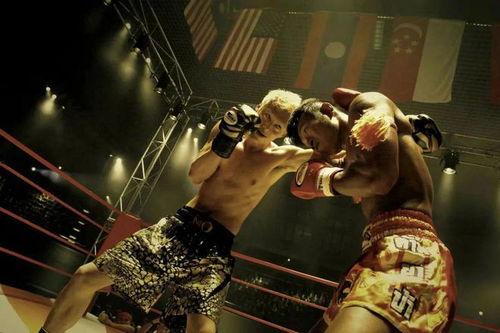 军鸡国语在线观看,热血军旅，激战正酣，在线观看精彩纷呈